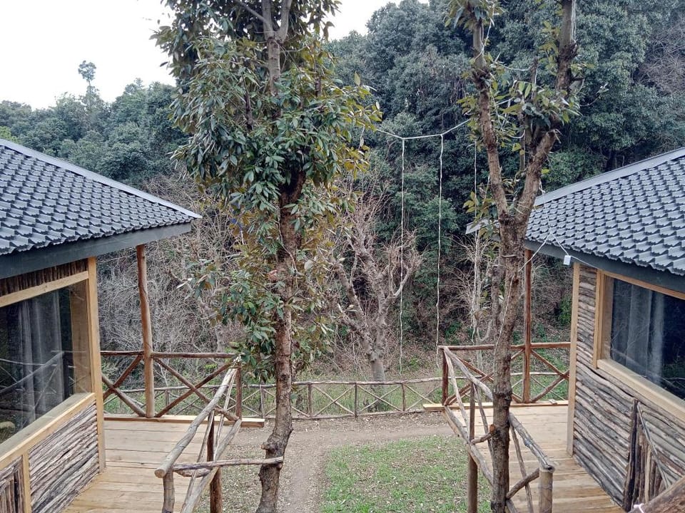 Boom Stays-Shimla Jungle cottages & Camp Vacation rental in Himachal Pradesh