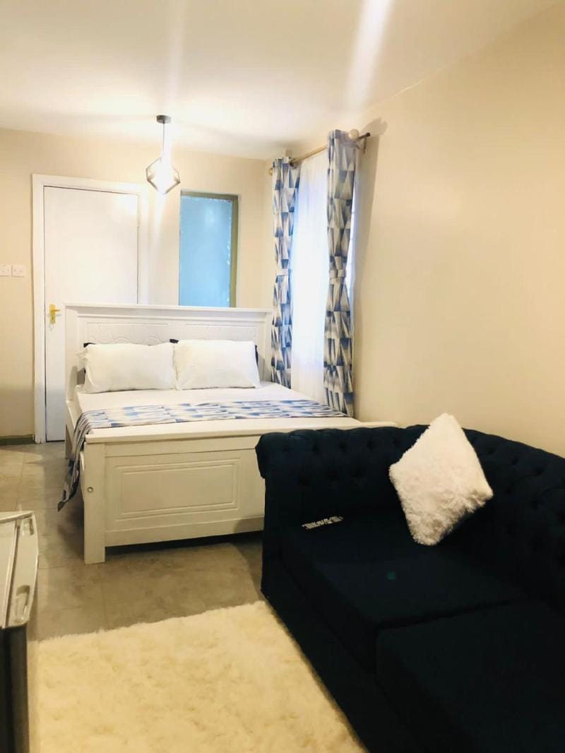 Elite Studio Apartment in Nairobi