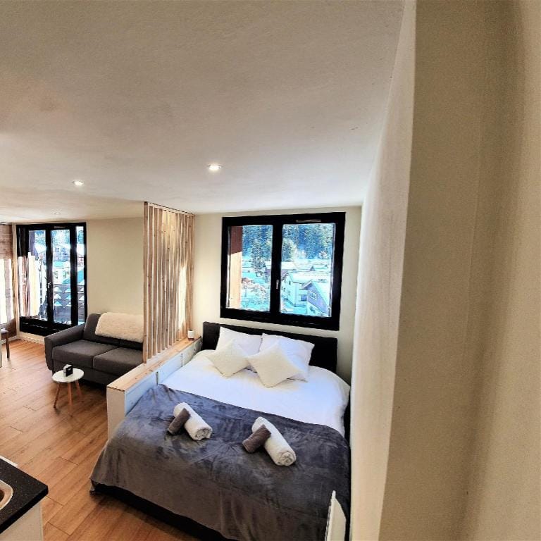 Grand Studio Aiguille du Midi et vue Mont Blanc Apartment in Chamonix