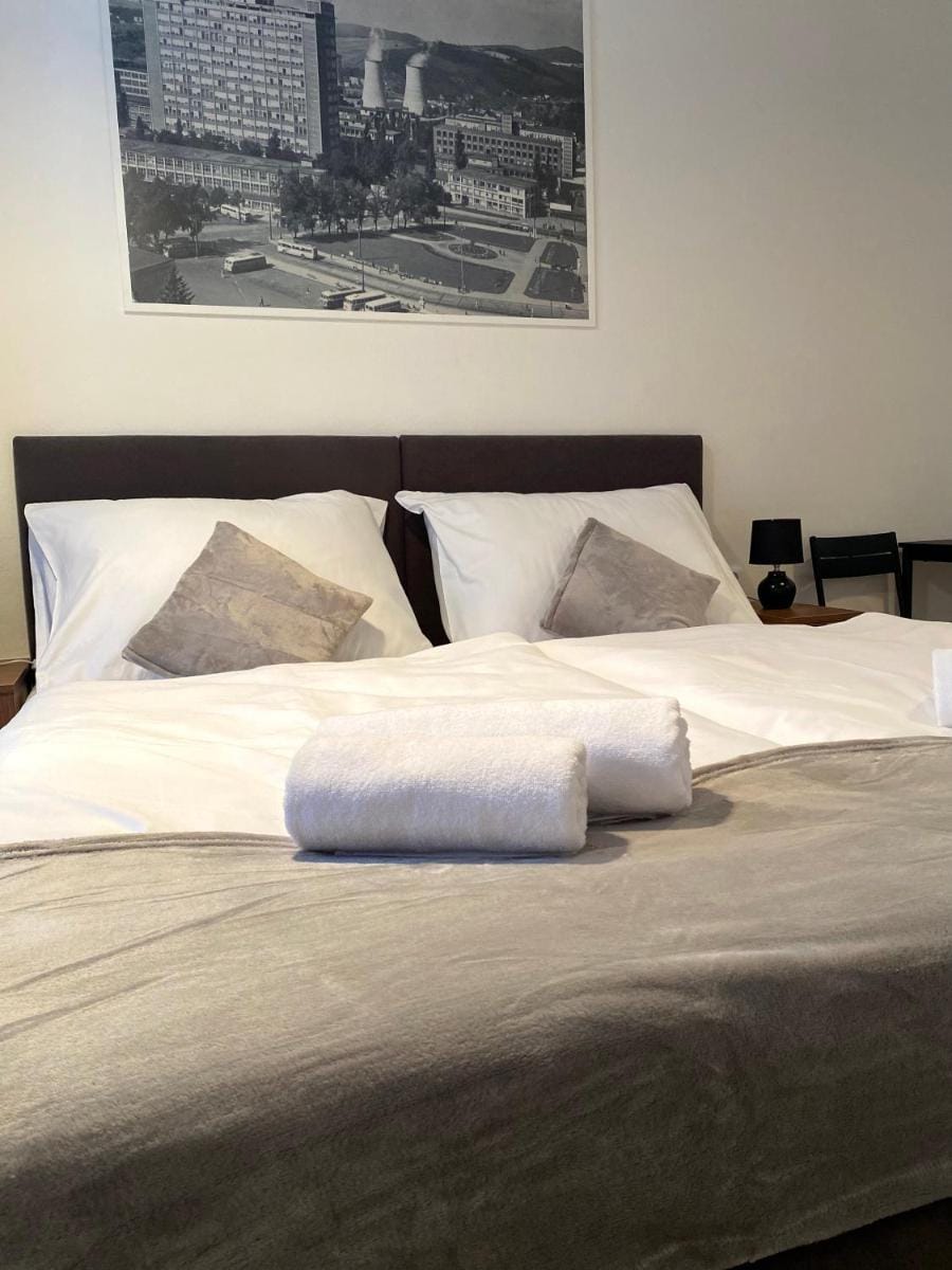 Hotel U Ševce Hotel in Czechia