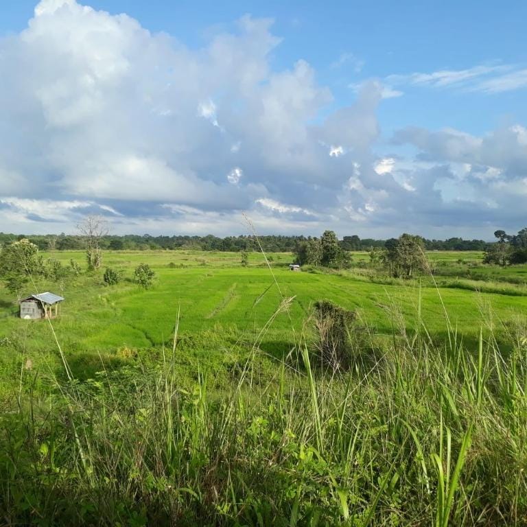 GreenBees Nature Farm Vacation rental in Uva Province, Sri Lanka