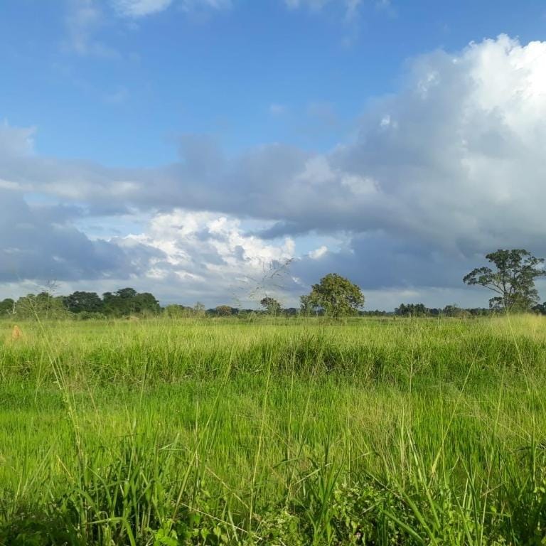 GreenBees Nature Farm Vacation rental in Uva Province, Sri Lanka