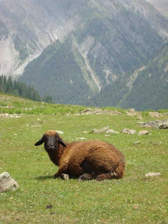 Houseboat Kingori Vacation rental in India