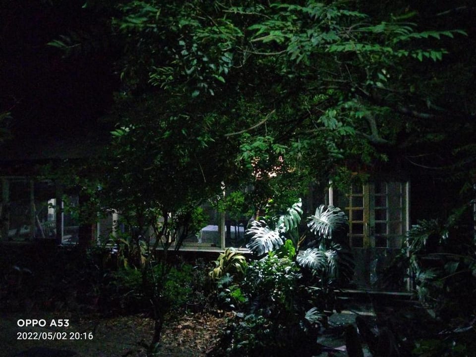 The Jungle Bungalow #Bella Finestra Vacation rental in Punjab, India