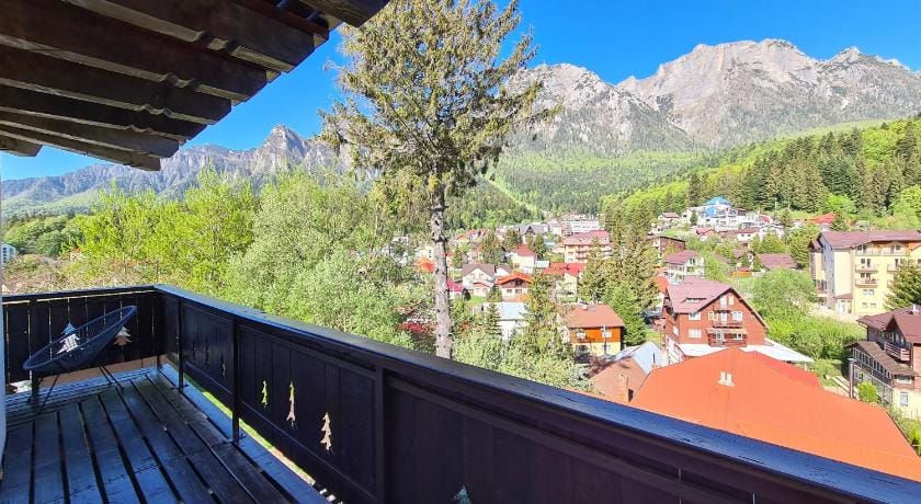 CASA FLORESCU Bed and Breakfast in Prahova, Romania