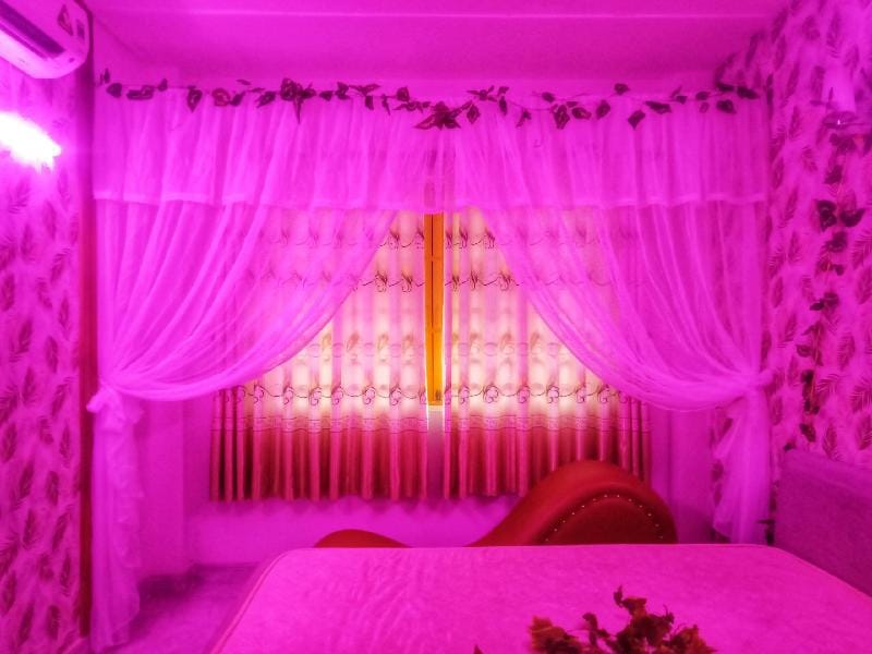 Charming room for couple to hide in Saigon center Apartment in Ho Chi Minh City