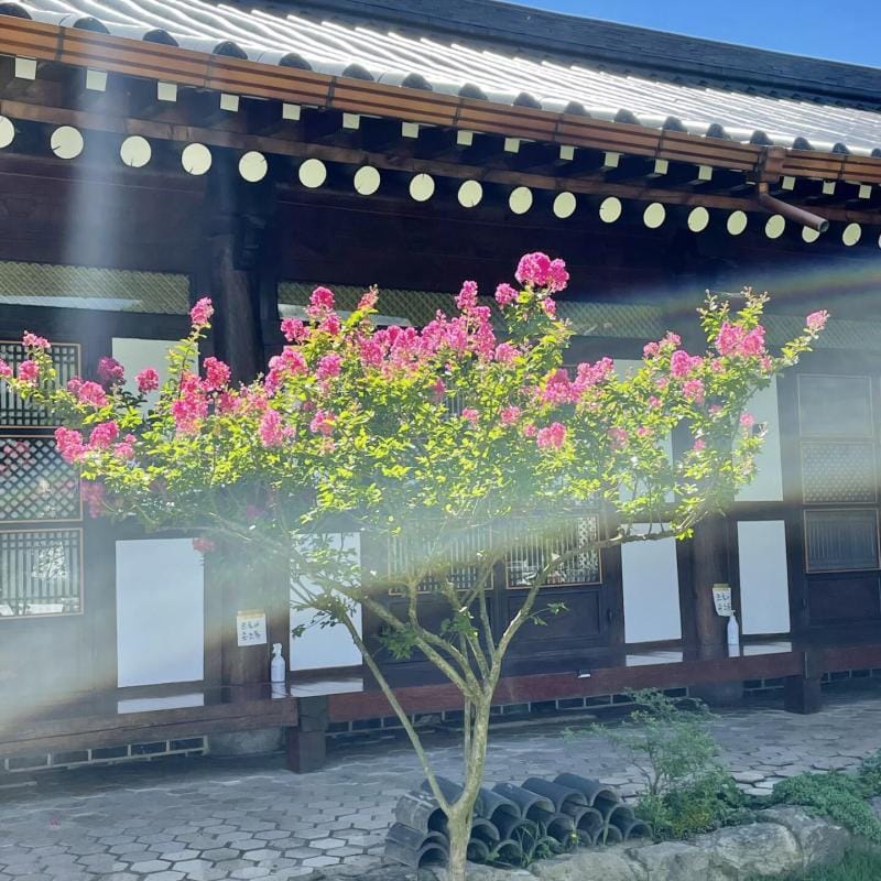 Yeongam Yeonhi Hanok Pension Bed and Breakfast in South Korea