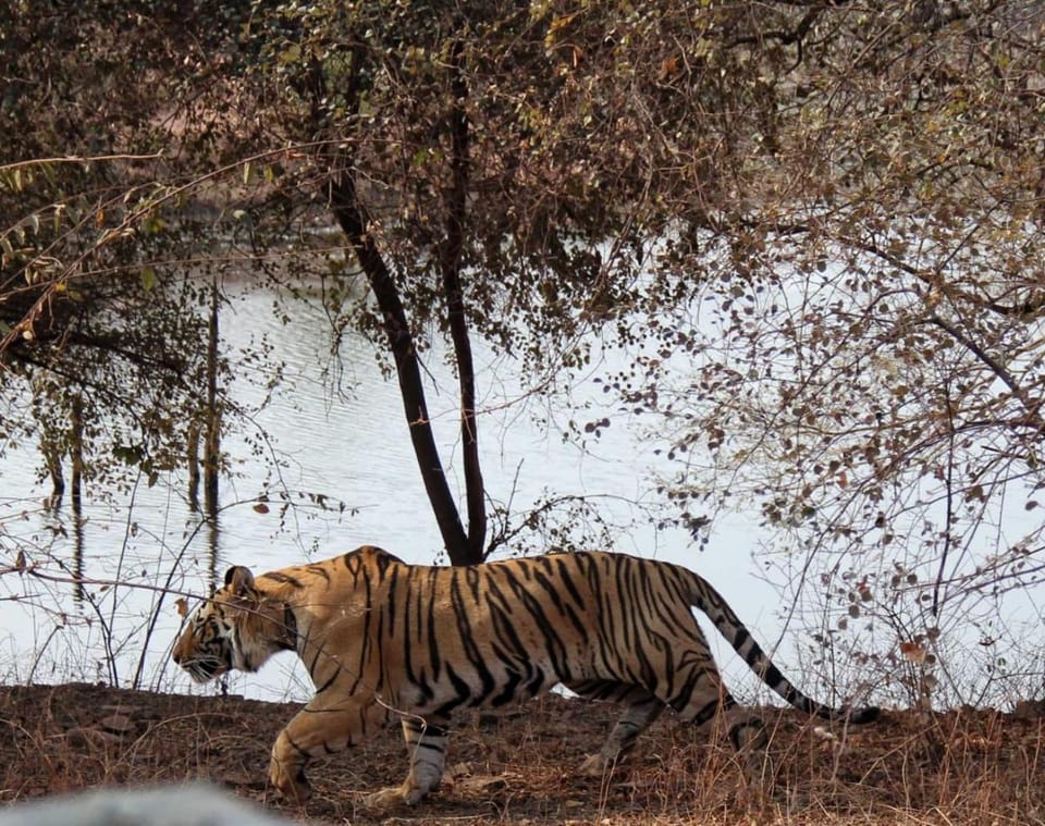 Anugraha Homestay Vacation rental in Uttarakhand