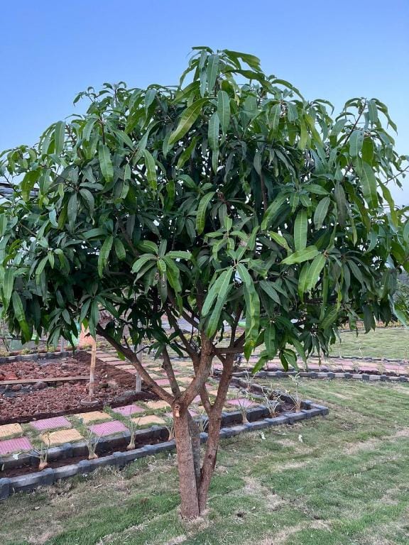 Farmstay to Relax and unwind with a big lawn Vacation rental in Maharashtra