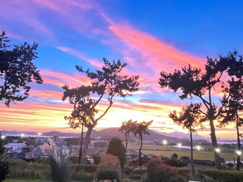 Wando Haegeum Pension Bed and Breakfast in South Korea