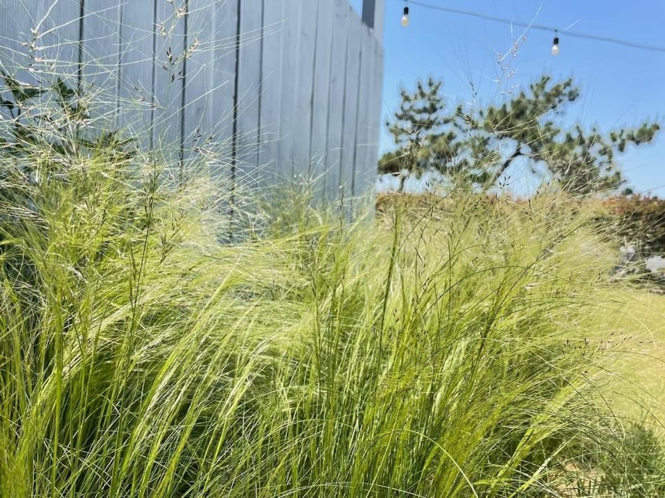 Wando Haegeum Pension Bed and Breakfast in South Korea