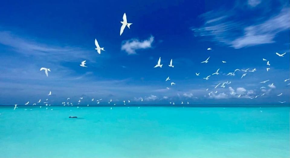 Hiraeth island home Villa in Maldives