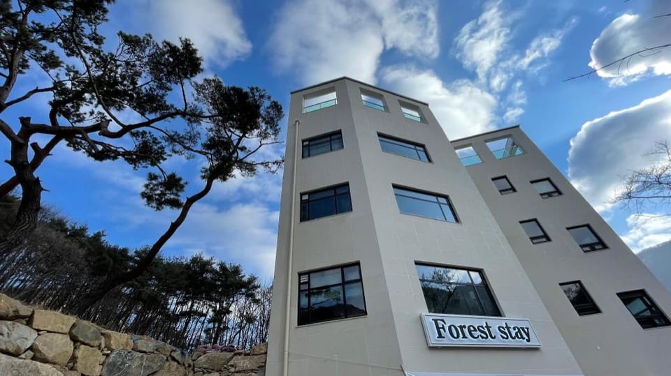 Forest Stay Pool Villa Bed and Breakfast in South Korea