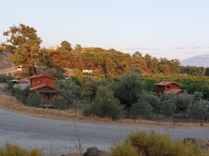 Olive Bungalov Houses Vacation rental in Muğla Province