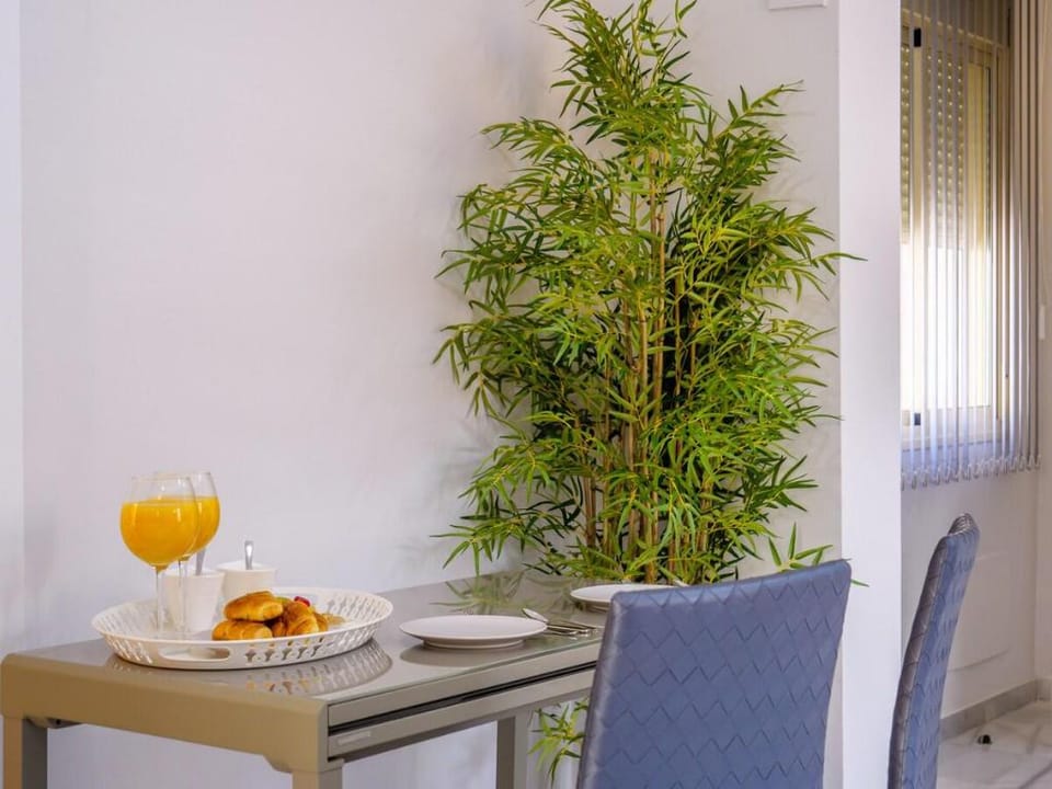 LA ALCAZABA - Exclusive Penthouse / Free Parking Apartment in Malaga