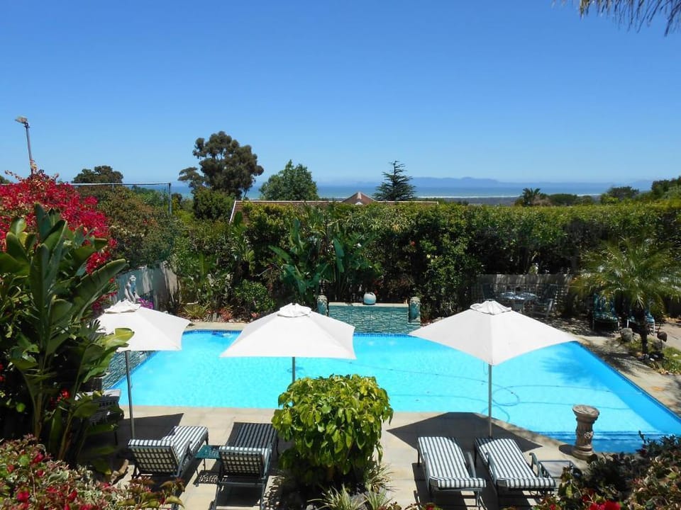 Roosboom Luxury Studio - with Sea View and kitchen, ideal for 2 guests, Capetown Apartment in Cape Town
