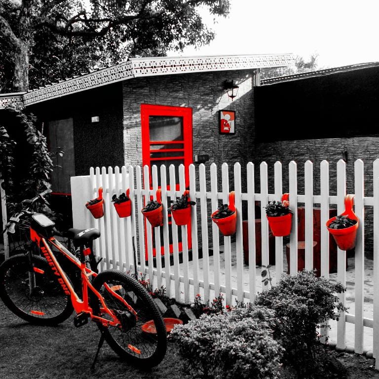 Olive Greens Homestay Apartment in Dehradun