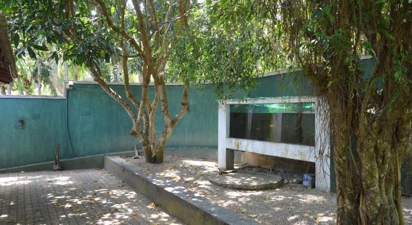 White Lotus Villa in Hikkaduwa