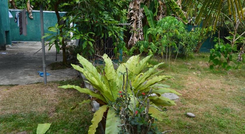 White Lotus Villa in Hikkaduwa