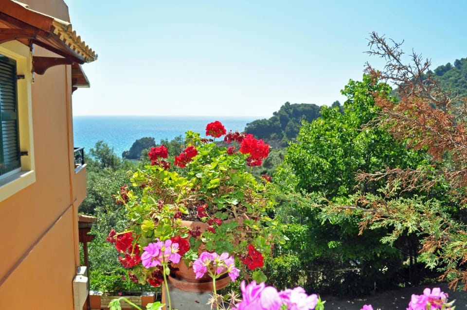 Apartments Papadatos near Pelekas Beach, Corfu Apartment in Corfu, Greece