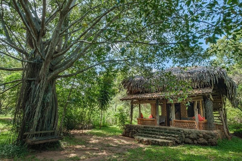 Banyan Camp- Champagne Lodge Vacation rental in Uva Province, Sri Lanka