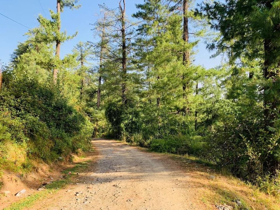 Windsor house heavenly stay in the lap of nature. Vacation rental in Himachal Pradesh