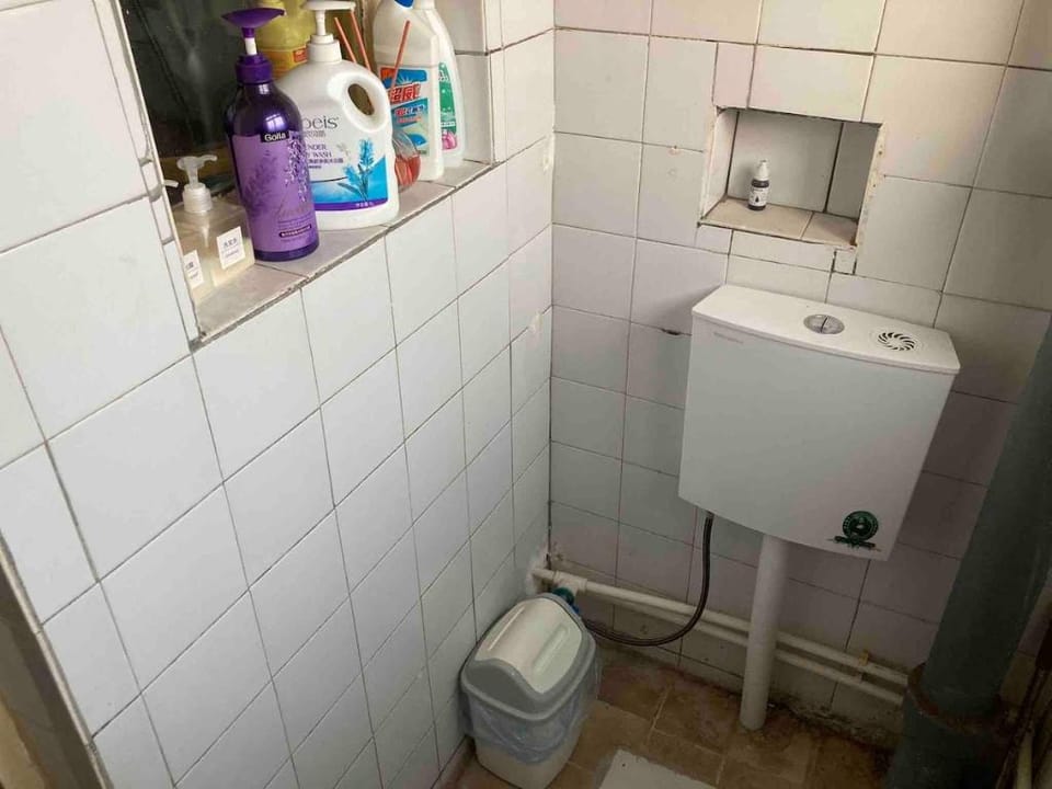 A【简心】/每客清洁卫生/近殷墟文峰塔火车站/极简主义舒适小屋/投影仪/文字之都 Vacation rental in China