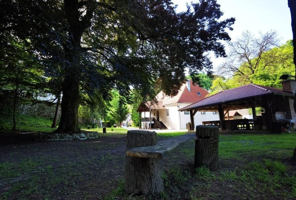 Historical Villa Taborec Villa in Slovenia
