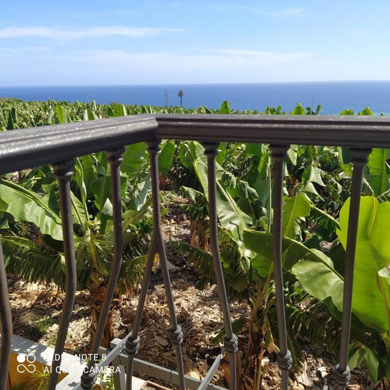 Trebol Trail Mountain La Palma Junto a Caracol Apartment in Tazacorte