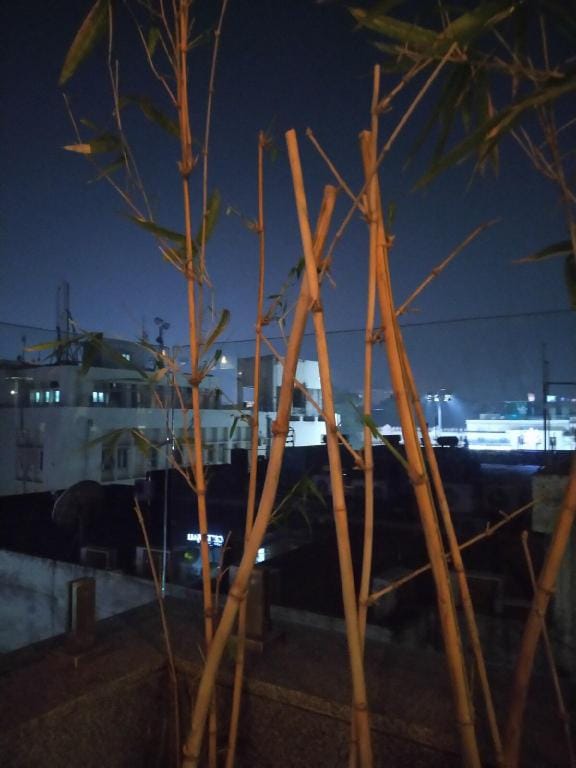 Luxury n Cozy BR , Couple Friendly, Business Villa in Lucknow