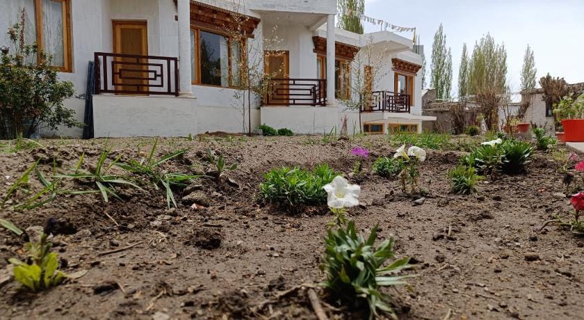 Nirila Guest House Leh Bed and Breakfast in India