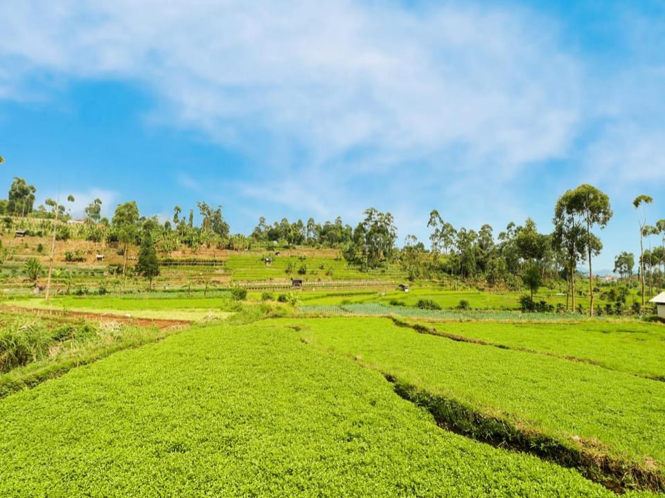 OYO Homes 90992 Eco Tourism Desa Panundaan Ciwidey Syariah Hotel in West Java