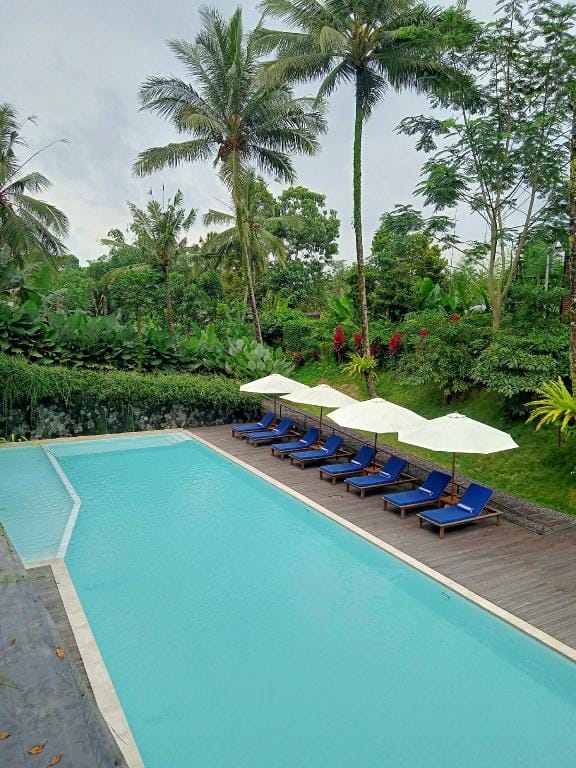 Teras Hotel Ijen Banyuwangi Hotel in East Java