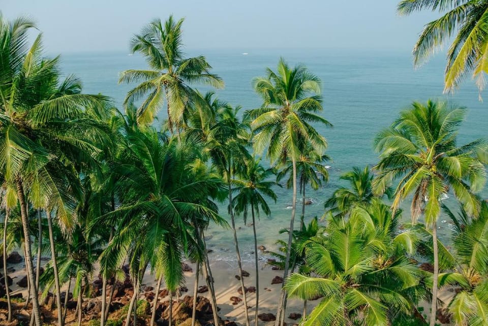Fatima Vacation Station Hotel in Agonda