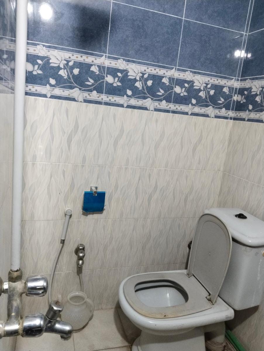 Homewood Suites Family Guest House & Apartments Bed and Breakfast in Lahore