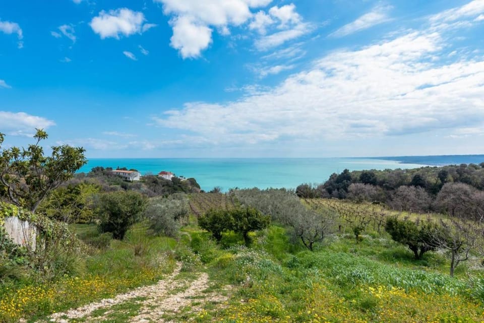 La conchiglia dei sogni - YourPlace Abruzzo Apartment in Abruzzo
