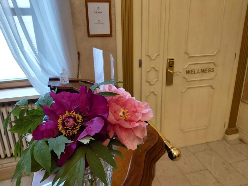 Hotel Château Cihelny Hotel in Saxony