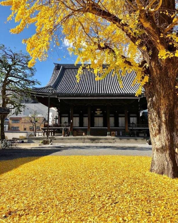 Guchimachikun · Hotel Hitomebore Kyoto Shijo Karasuma Villa in Kyoto
