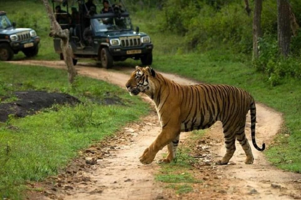 Entire Villa surrounded by Nagarahole Forest Villa in Kerala