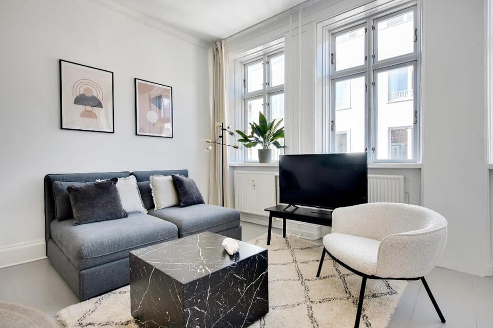 Bright and Spacious Apartment in the center of Copenhagen Apartment in Copenhagen