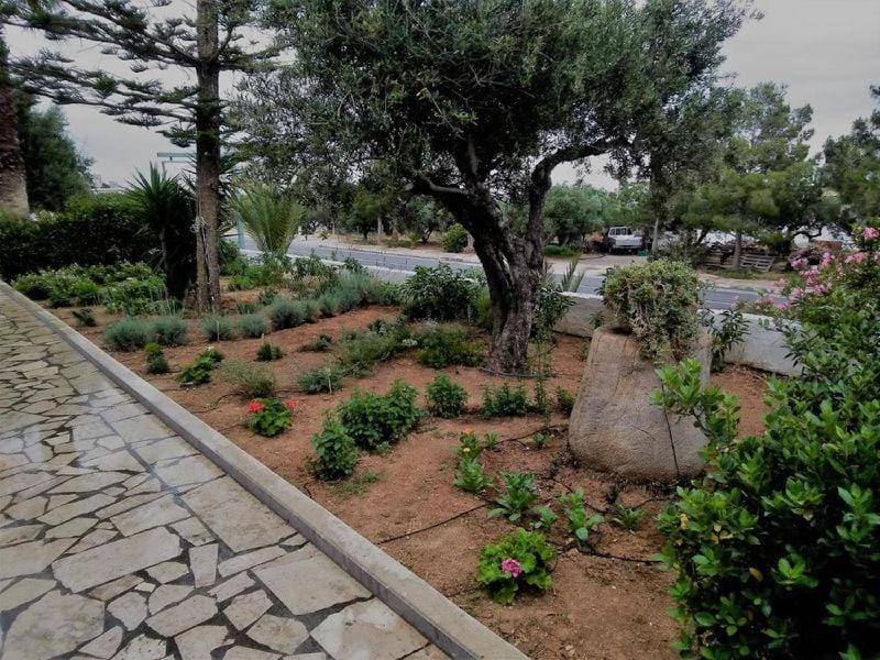 Apartments with sea view Apartment in Lasithi