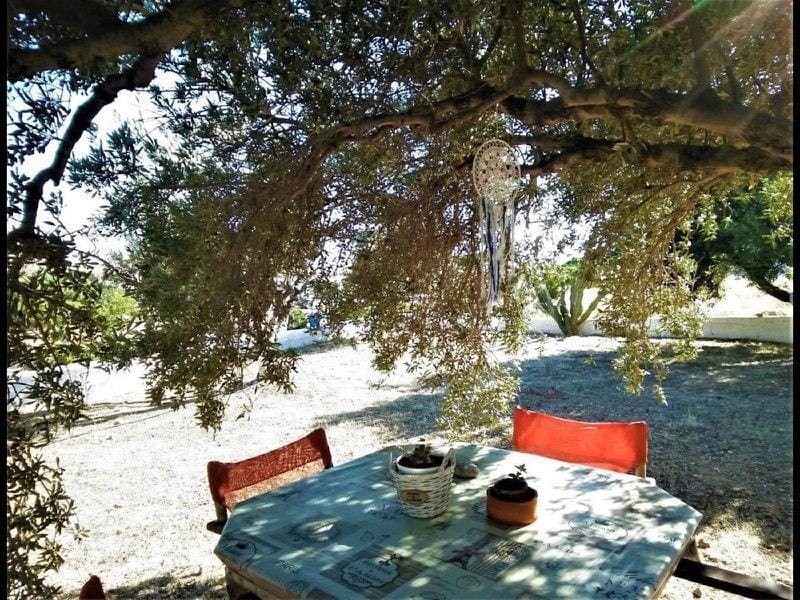 Apartments with sea view Apartment in Lasithi