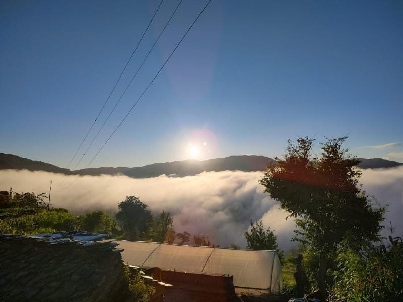 Green Zone homestay Vacation rental in Uttarakhand