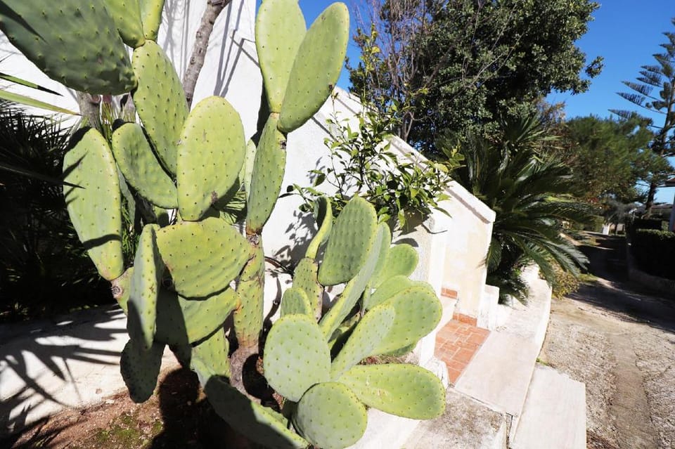 Negroamaro House Torre Santo Stefano Otranto Vacation rental in Apulia