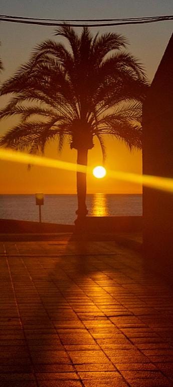 RENT ROOM IN THE BEST LOCATION OF EL CAMPELLO Apartment in El Campello
