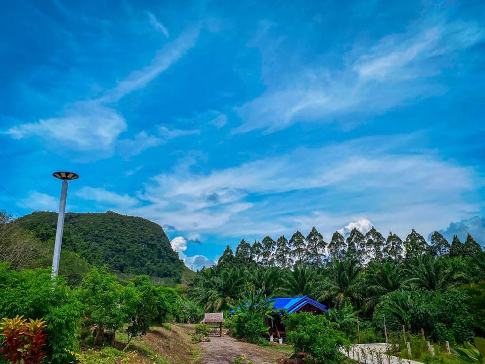 Baan Rung Tawan Resort in Surat Thani Changwat