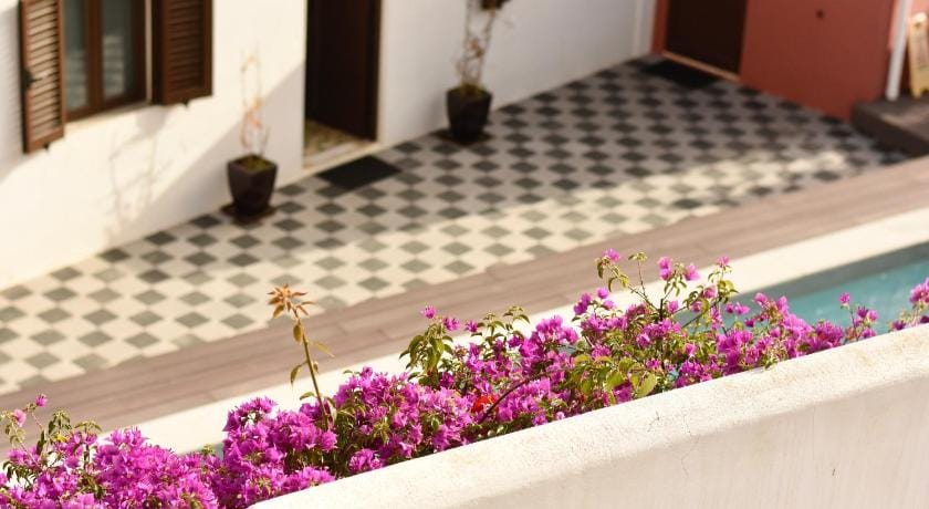 Fisherman's Cosy Studio Albufeira Vacation rental in Albufeira