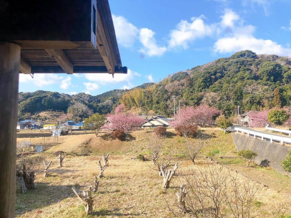 KAORU INN Vacation rental in Shizuoka Prefecture