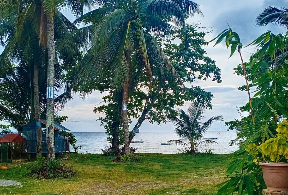 RedDoorz @ St. Anthony Beach Resort Resort in Central Visayas