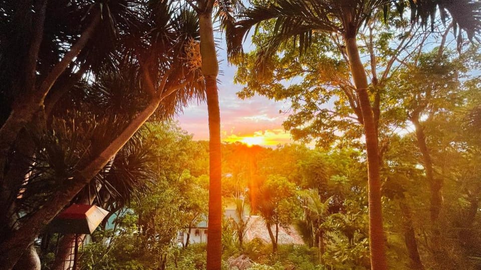 Zhang Resort and Dive Center OPC Hotel in Central Visayas